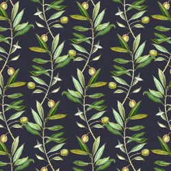 Olive Branches, 2017